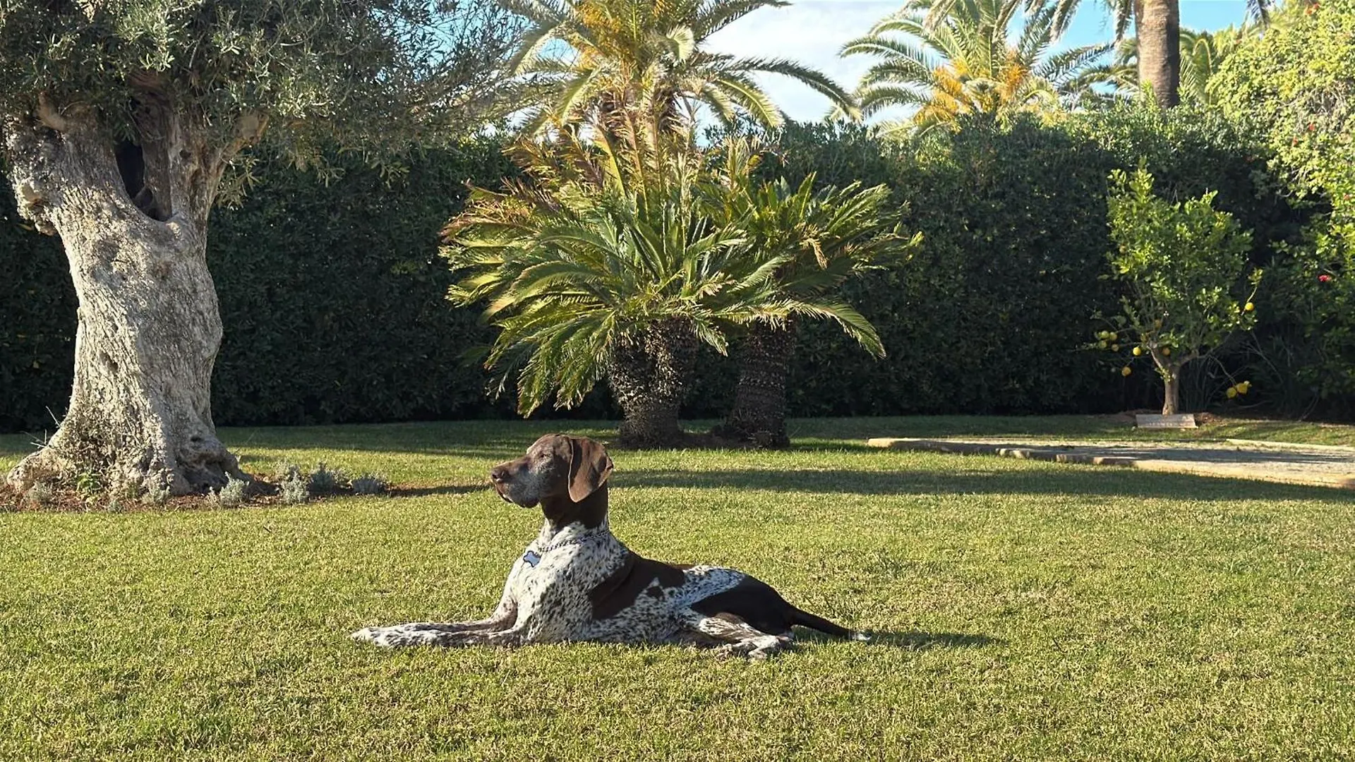 La Calma Espectacular Villa Con Jardin Y Piscina En Menorca سالغار